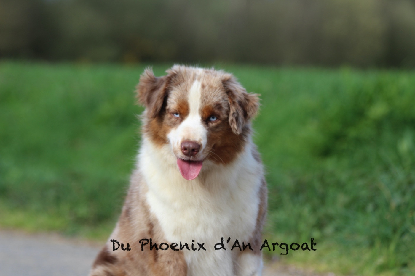 Ultra chic marble girl du temple de Palés